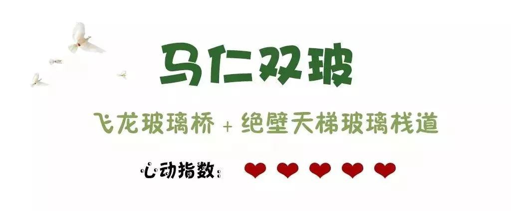 午夜熟女插插XX免费视频