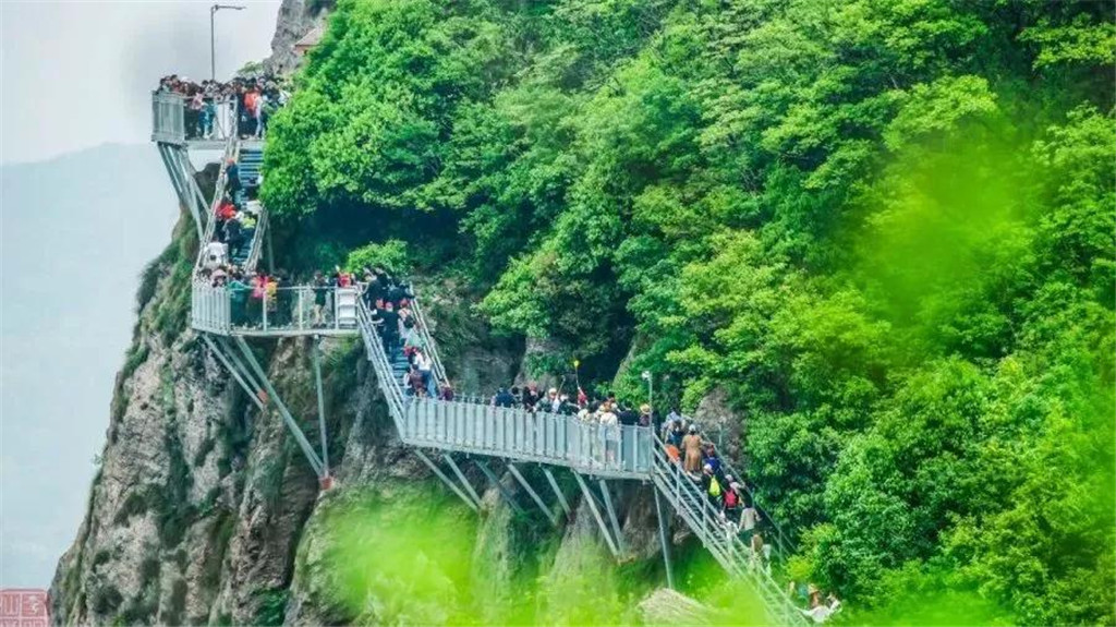 午夜熟女插插XX免费视频