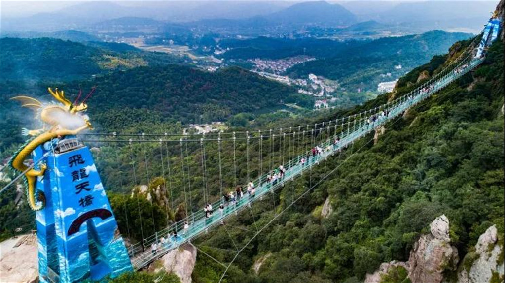 午夜熟女插插XX免费视频