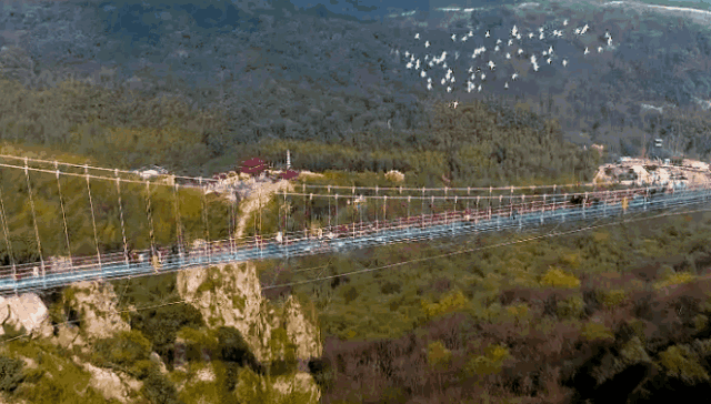 午夜熟女插插XX免费视频