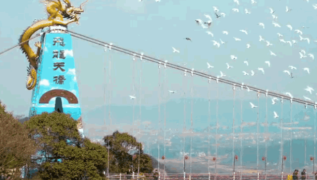 午夜熟女插插XX免费视频