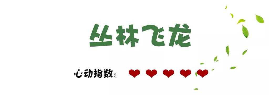 午夜熟女插插XX免费视频