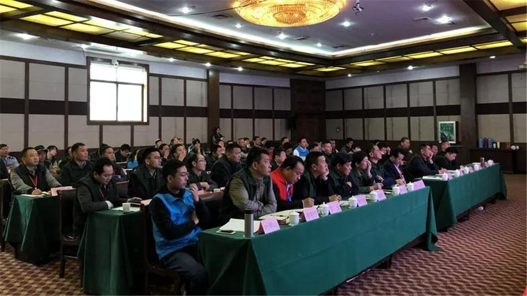 午夜熟女插插XX免费视频