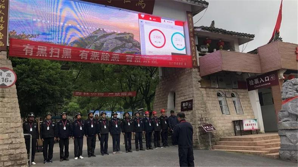 午夜熟女插插XX免费视频