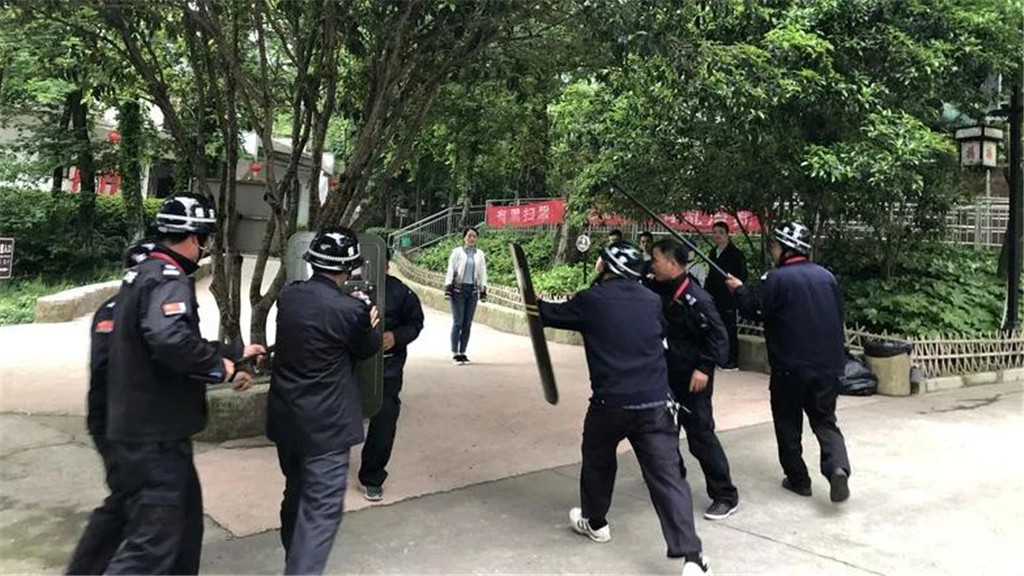 午夜熟女插插XX免费视频