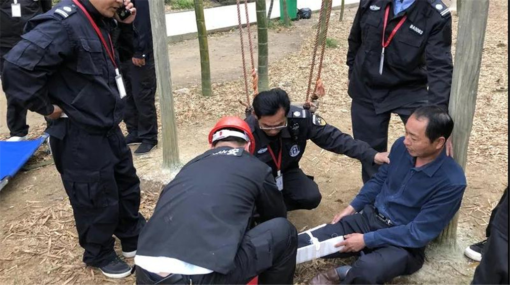 午夜熟女插插XX免费视频