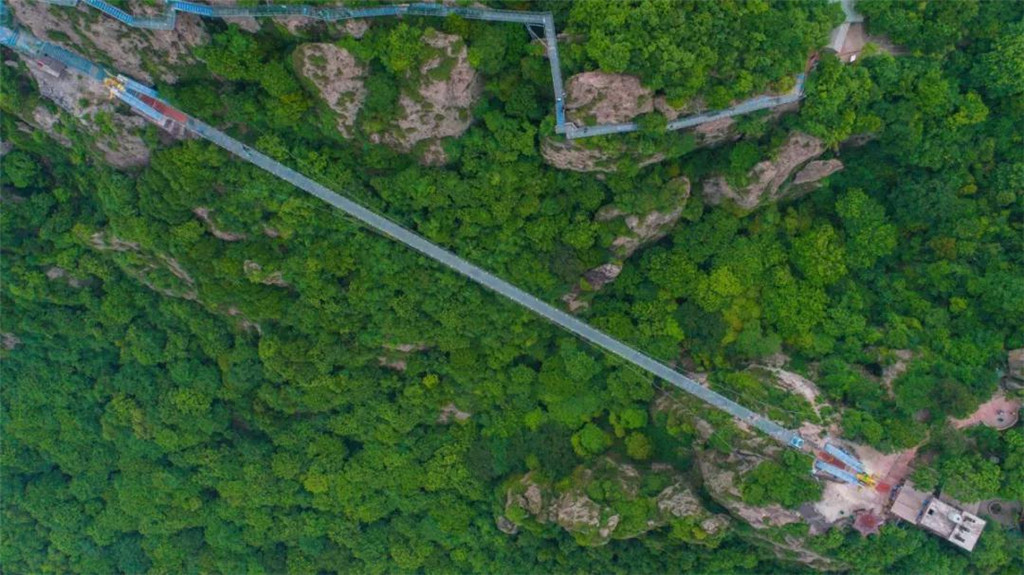 午夜熟女插插XX免费视频