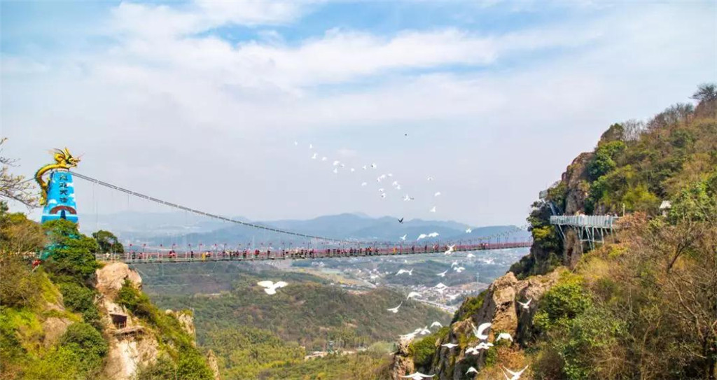 午夜熟女插插XX免费视频