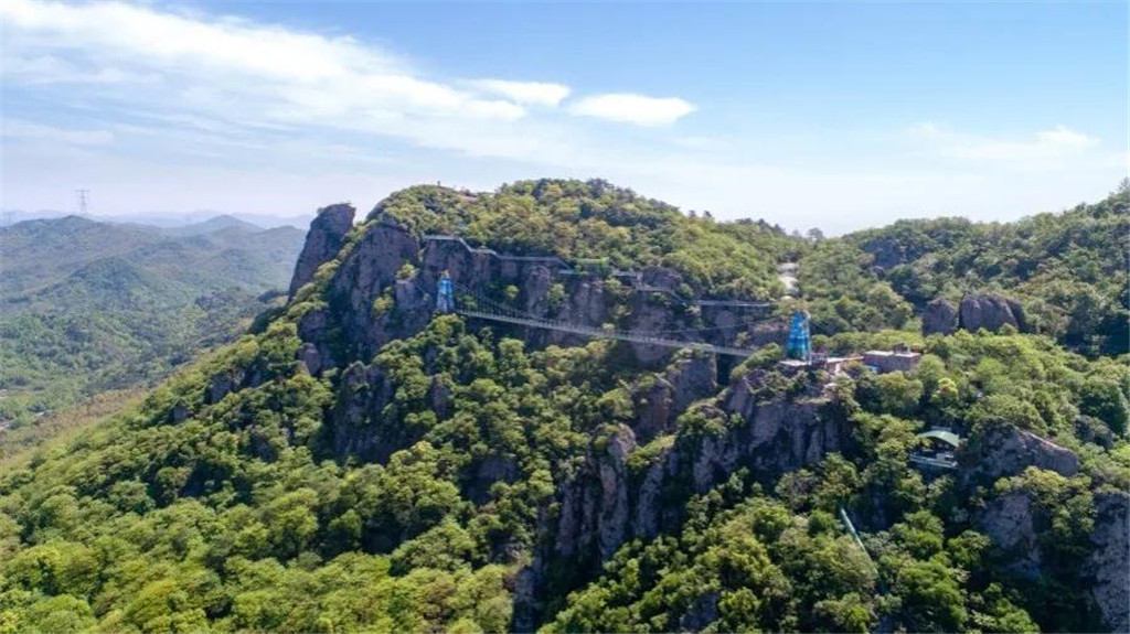 午夜熟女插插XX免费视频