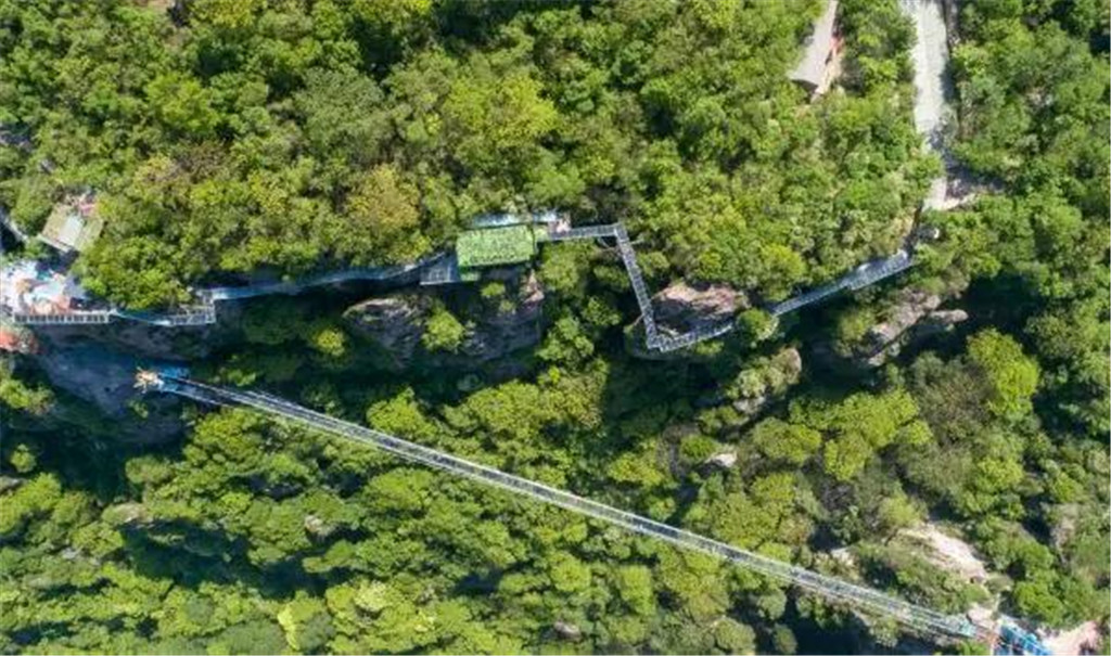 午夜熟女插插XX免费视频