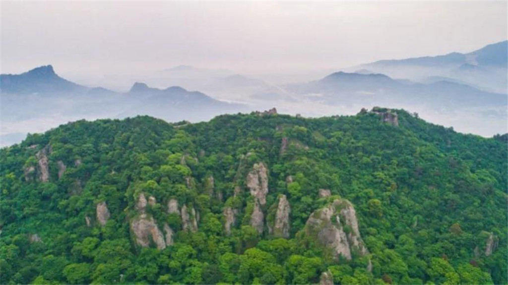 午夜熟女插插XX免费视频