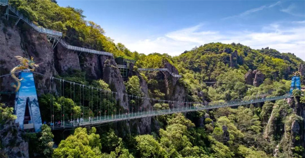 午夜熟女插插XX免费视频