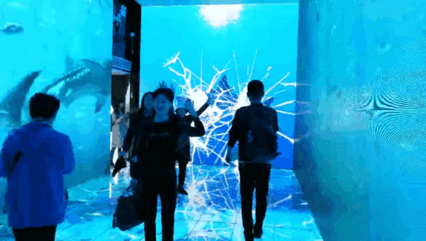 午夜熟女插插XX免费视频