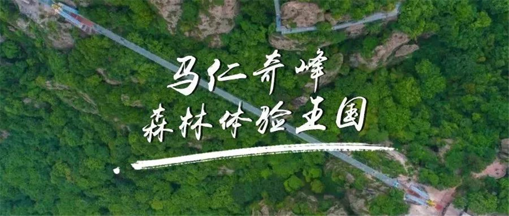 午夜熟女插插XX免费视频