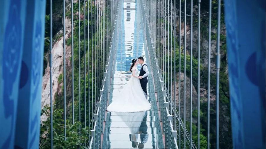 午夜熟女插插XX免费视频