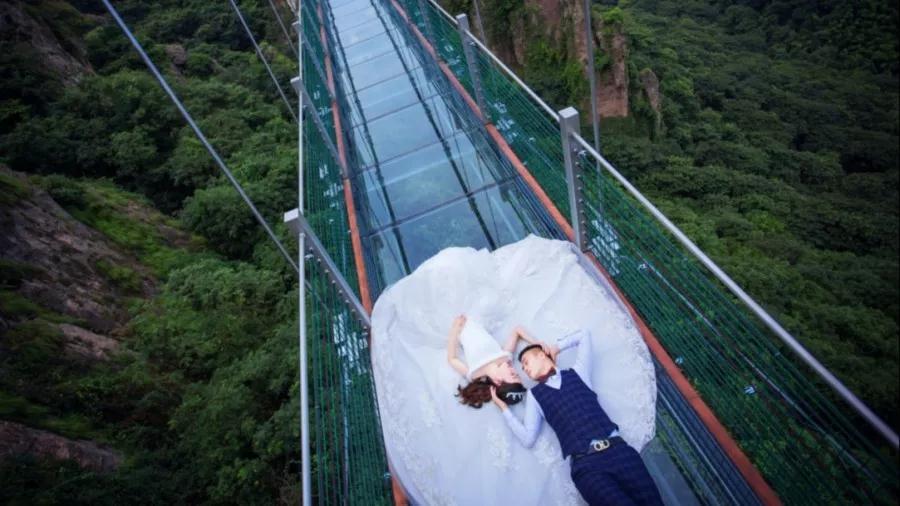 午夜熟女插插XX免费视频