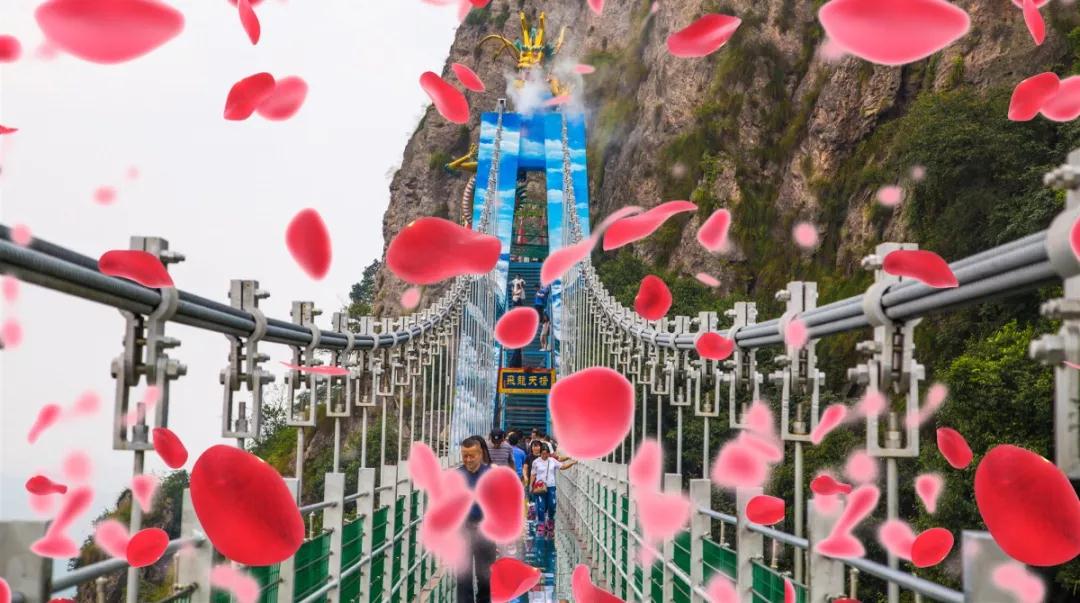 午夜熟女插插XX免费视频