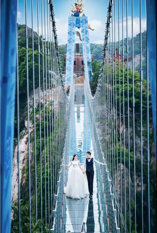 午夜熟女插插XX免费视频