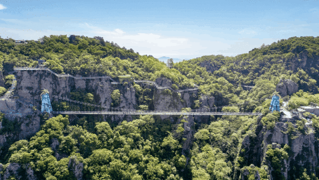 午夜熟女插插XX免费视频