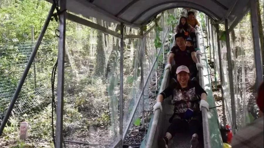 午夜熟女插插XX免费视频