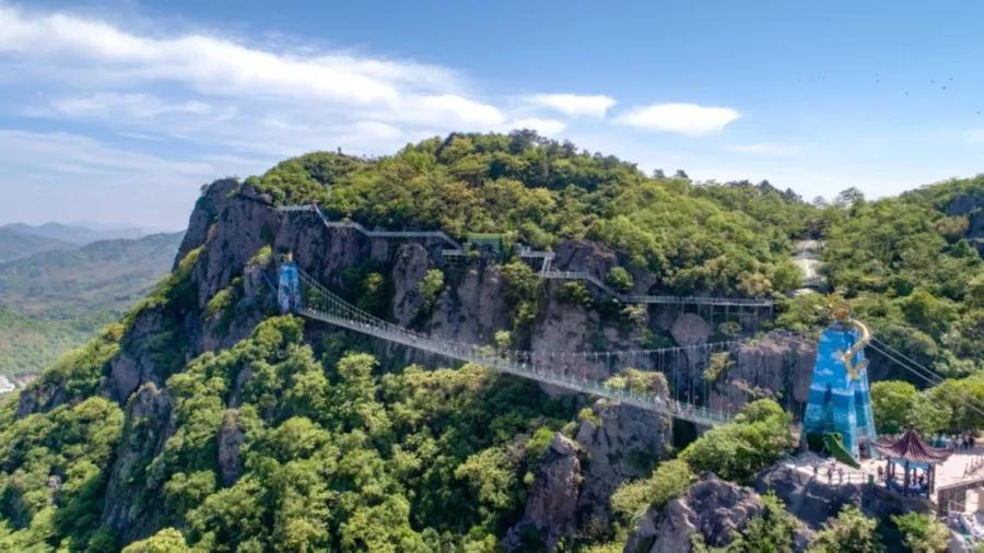 午夜熟女插插XX免费视频