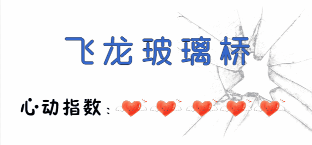 午夜熟女插插XX免费视频