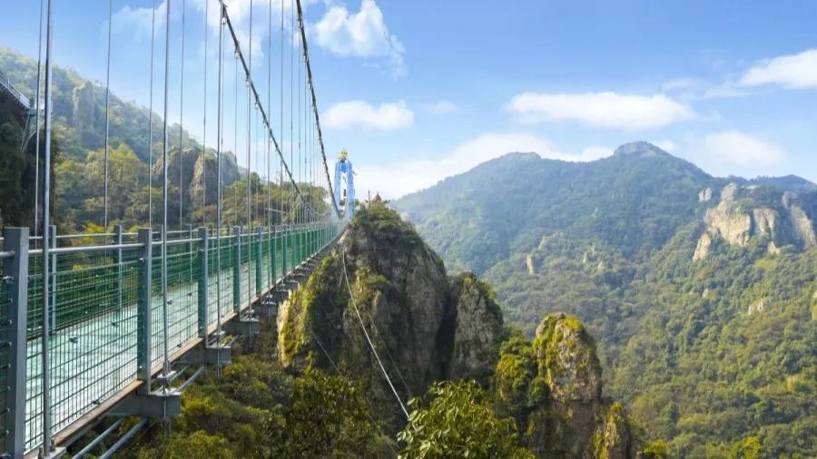 午夜熟女插插XX免费视频