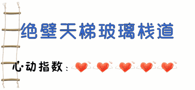 午夜熟女插插XX免费视频