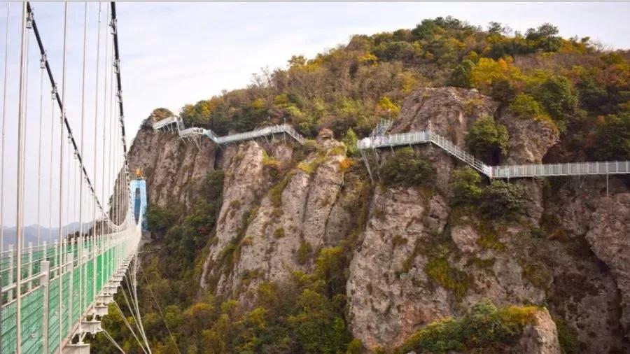 午夜熟女插插XX免费视频