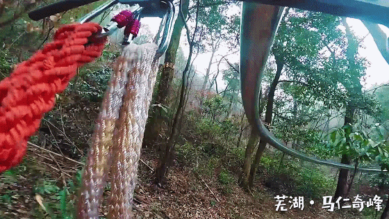 午夜熟女插插XX免费视频