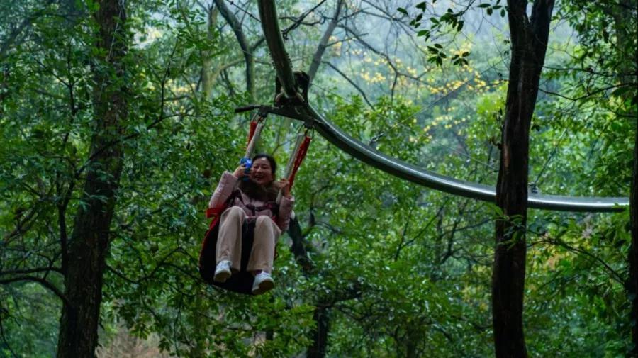 午夜熟女插插XX免费视频