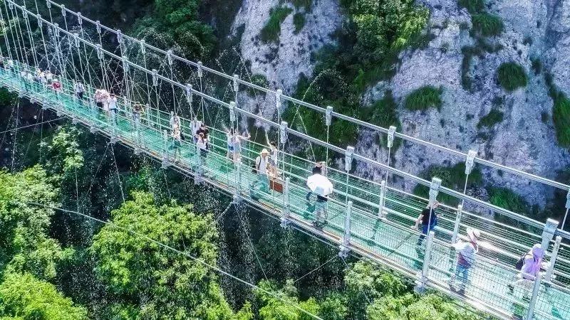 午夜熟女插插XX免费视频