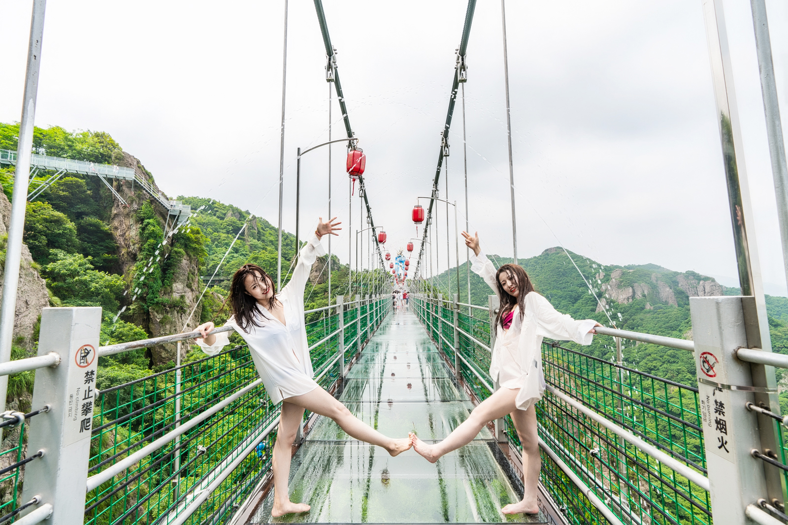 午夜熟女插插XX免费视频