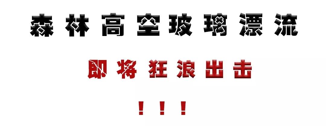 午夜熟女插插XX免费视频