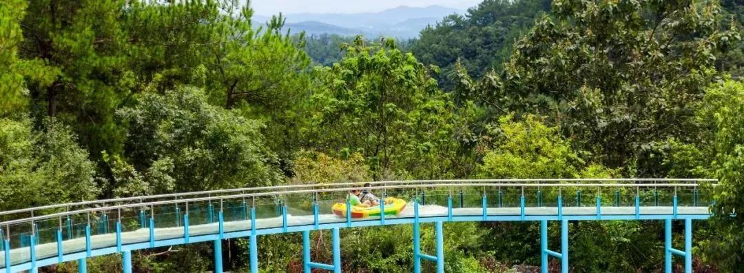 午夜熟女插插XX免费视频