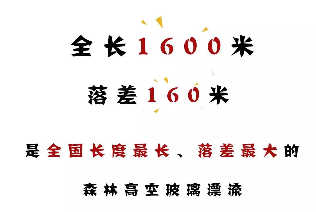 午夜熟女插插XX免费视频