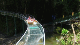 午夜熟女插插XX免费视频