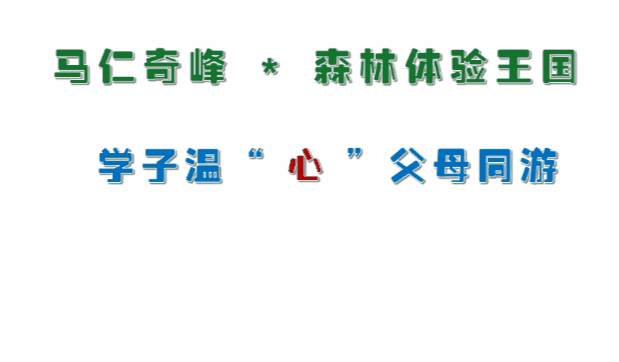 午夜熟女插插XX免费视频