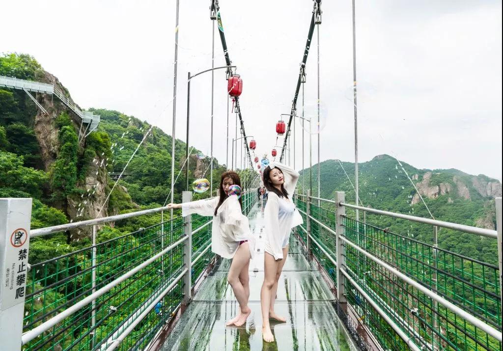 午夜熟女插插XX免费视频