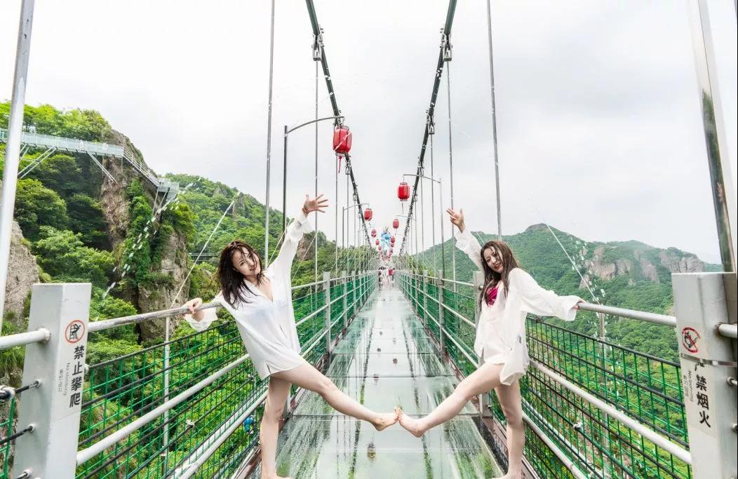 午夜熟女插插XX免费视频