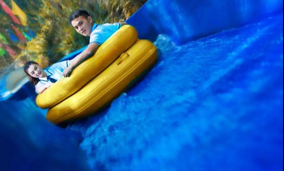 午夜熟女插插XX免费视频