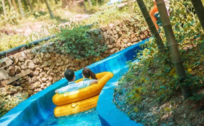 午夜熟女插插XX免费视频