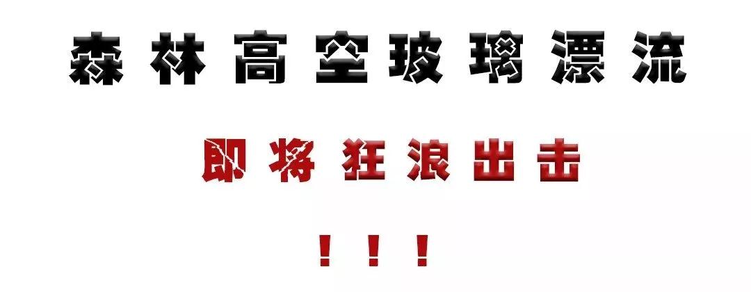 午夜熟女插插XX免费视频