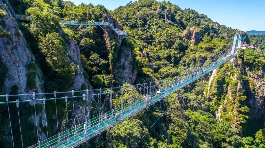 午夜熟女插插XX免费视频