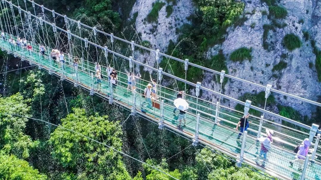 午夜熟女插插XX免费视频