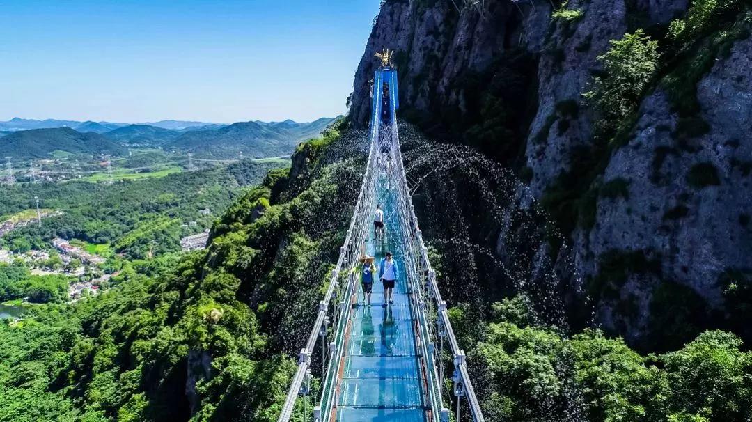 午夜熟女插插XX免费视频