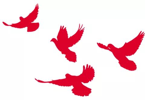 午夜熟女插插XX免费视频