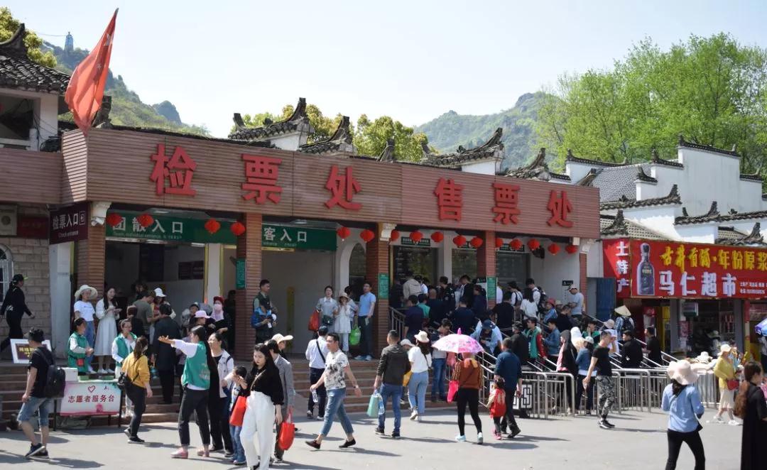 午夜熟女插插XX免费视频