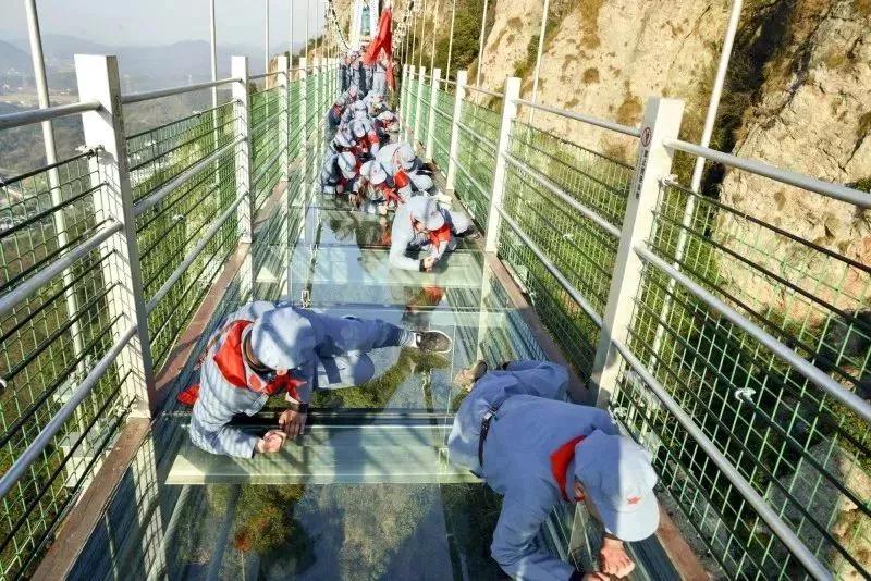 午夜熟女插插XX免费视频