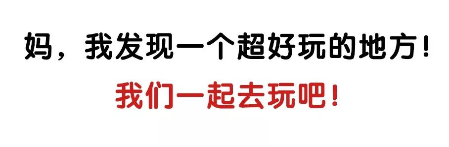 午夜熟女插插XX免费视频